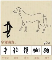 动物和汉字：探索汉字中的动物元素1