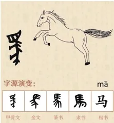 动物和汉字：探索汉字中的动物元素2