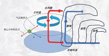 台风呼啸,为何中心独“静”2