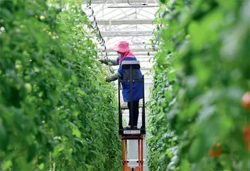 2025年中央一号文件：千方百计推动农业增效益、农村增活力、农民增收入