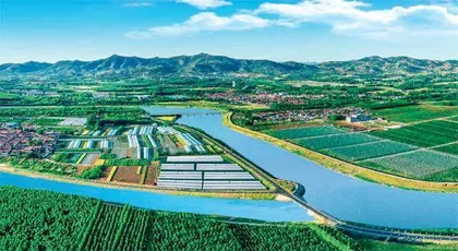 山东省副省长陈平：统筹推进乡村“五个振兴”奋力谱写乡村振兴齐鲁样板新篇章