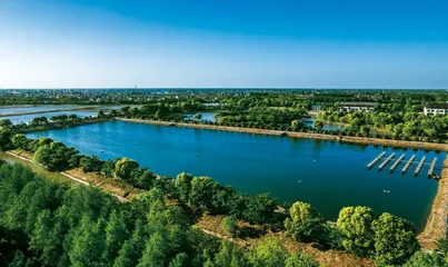 上海崇明岛湿地