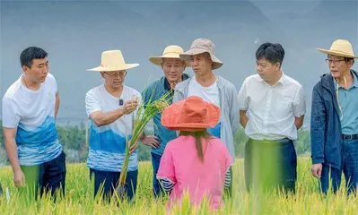 全国人大代表、中国工程院院士张福锁：在服务乡村振兴中解民生、治学问、育英才