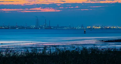 上海崇明岛湿地3