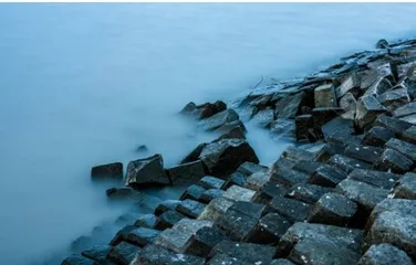 上海崇明岛湿地6