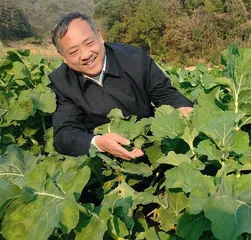 农民的盼望，就是我履职的方向