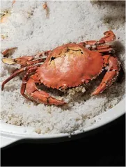 寻迹厦门,进击中的闽之味5