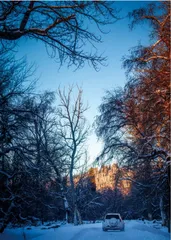 -35℃与40℃2