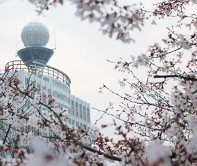气象雷达研发专家的科研日常1