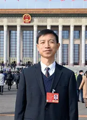 甜高粱规模种植破解盐碱地治理难题