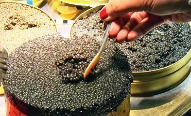 食金之风 应当摒弃7