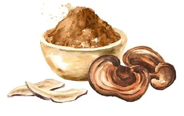 夏季养心 灵芝食疗菜0