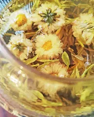 年年春来待新茶3