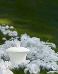 以一盏茶开启不见底的旅程5