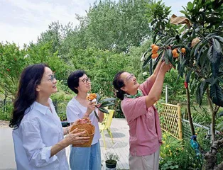 吐司的1000种玩法(十五)1