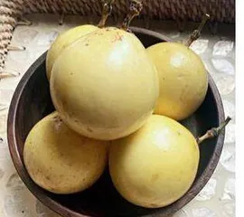 吐司的1000种玩法(十八)13