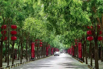 “龙头”舞动扬帆起