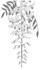 紫藤花美入馔来