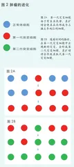 细胞的生与死1