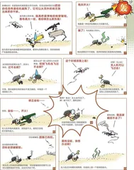 漫画轻兵器之二十六　无人机！无人机！（12）2