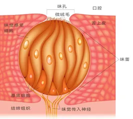 人间有味是清欢