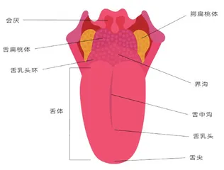 人间有味是清欢1
