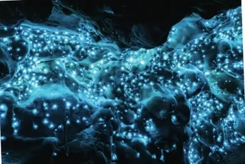 水晶宫究竟是什么模样5