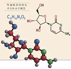 海绵——结构简单的天然药物宝库