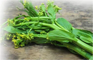 春来食菜薹