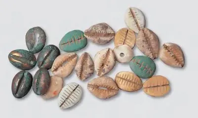 贝壳作为货币的时代