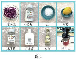 巧制“酸碱指示剂”