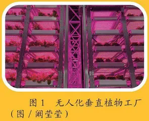 什么是植物工厂