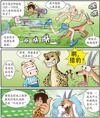 “闪电杀手”——猎豹