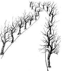 雪天