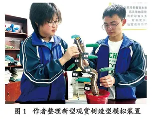 给树“造型”，看我们的