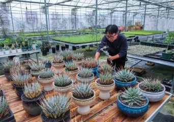 科技小院育人电商西进开路