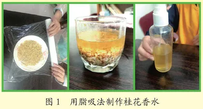 不同提取方式对自制桂花香水香气的影响