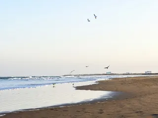 小王子和三毛的撒哈拉1