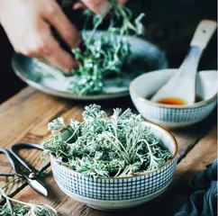 采野菜的日子