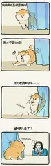 绘 本1