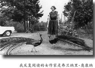 令人着迷的美国作家