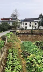 伴君寻芷岸