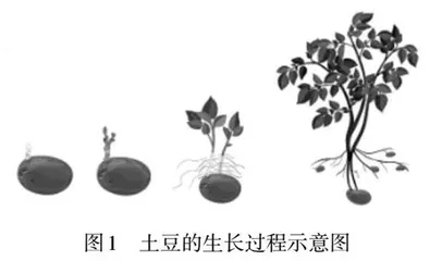 建构核心概念　解决真实问题