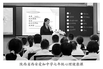 陕西省中小学心理健康教育观察