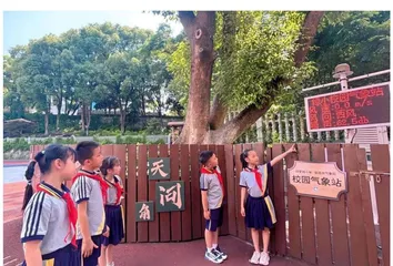 西陵区实施科学教育提质赋能行动