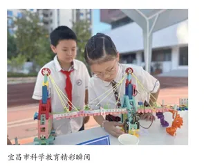 渗透跨学科概念教学《鸟和哺乳动物》