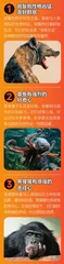 动物有性格吗1