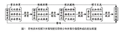 符号资本与符号权力：论体育明星引导青少年体育价值观养成