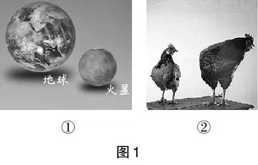 联系生活实际 关注概念教学 发展核心素养