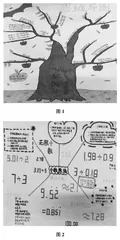 思维导图在小学数学单元复习教学中的应用研究